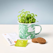 Load image into Gallery viewer, Altered Herbs Mug Grow Kits: Nearly Nirvana Holy Basil