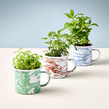 Load image into Gallery viewer, Altered Herbs Mug Grow Kits: Nearly Nirvana Holy Basil