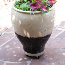 Load image into Gallery viewer, 12" Heavy Duty Plant Dolly