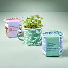 Load image into Gallery viewer, Altered Herbs Mug Grow Kits: Nearly Nirvana Holy Basil