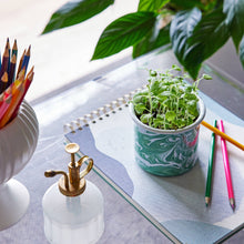 Load image into Gallery viewer, Altered Herbs Mug Grow Kits: Nearly Nirvana Holy Basil