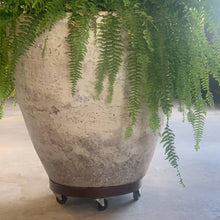 Load image into Gallery viewer, 16" Heavy Duty Plant Dolly