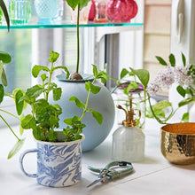 Load image into Gallery viewer, Altered Herbs Mug Grow Kits: Nearly Nirvana Holy Basil