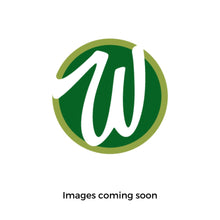 Load image into Gallery viewer, Epipremnum 'Cebu Blue' Pothos