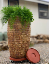 Load image into Gallery viewer, 12" Heavy Duty Plant Dolly