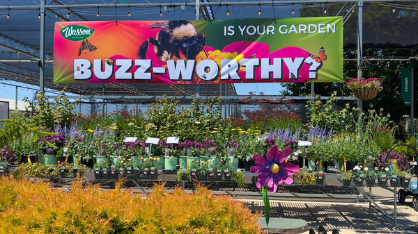 How to Start a Pollinator Garden