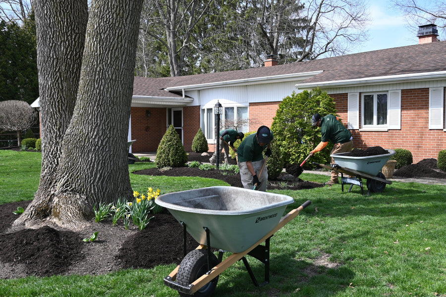 How to Mulch for Optimal Results: A Comprehensive Guide