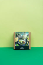 Load image into Gallery viewer, New* Airplant Terrarium Kit : Globe