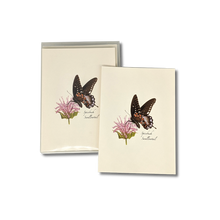 Load image into Gallery viewer, Spicebush Swallowtail butterfly greeting cards featuring botanical illustration with pink flower and dark butterfly
