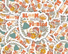 Load image into Gallery viewer, Bloom Where You Are Planted Sticker, Gardening Sticker