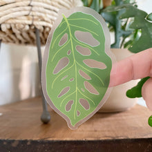 Load image into Gallery viewer, Clear vinyl sticker featuring green Monstera Adansonii leaf design with characteristic holes and fenestrations