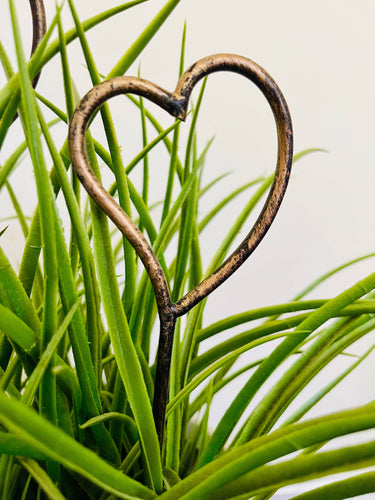 Heart Shaped - Metal Garden or Plant Stakes for Pots!: 12