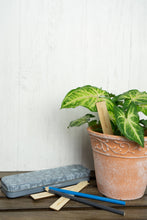 Load image into Gallery viewer, Wooden plant labels with pencil next to potted green plant and garden notebook