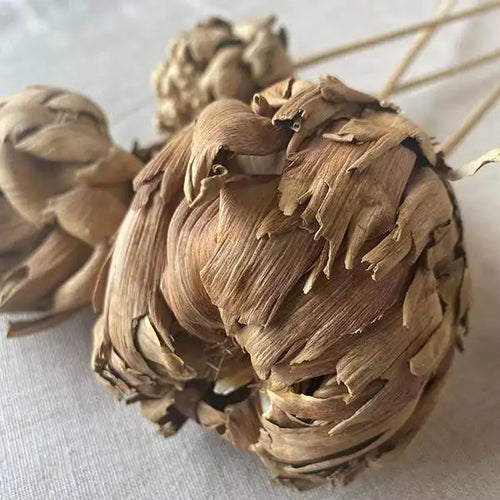 Natural Chico Chokes Picks