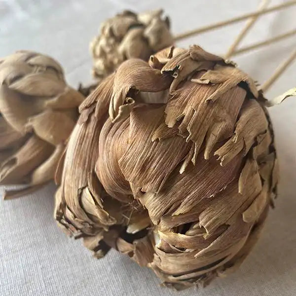 Natural Chico Chokes Picks