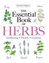 Load image into Gallery viewer, Reader's Digest Essential Book of Herbs cover featuring illustrated parsley, basil, lavender, oregano and valerian plants