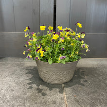 Load image into Gallery viewer, Annual Planter Mono
