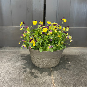 Annual Planter Mono
