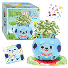 Load image into Gallery viewer, Plant-a-Pet puppy-themed grow kit with blue dog planter containing sprouted chia plants