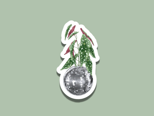 Begonia Polka Dot Disco Ball Plant Sticker, Plant Shop Gift