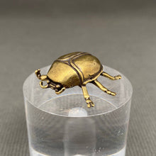 Load image into Gallery viewer, Brass Beetle Decoration