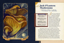 Load image into Gallery viewer, Open book displaying Jack O'Lantern mushroom identification guide with orange fungi illustration and species information
