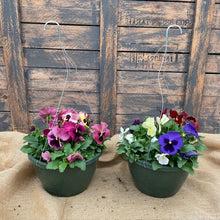 Load image into Gallery viewer, Pansy Bowl