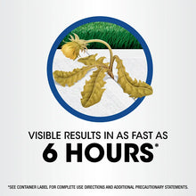 Load image into Gallery viewer, Roundup herbicide showing wilted dandelion with visible results in 6 hours claim