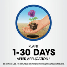 Load image into Gallery viewer, Hand holding flowering plant seedling with planting timeline showing 1-30 days after application