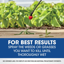 Load image into Gallery viewer, Hand sprayer with red nozzle targeting weeds growing through wooden deck planks