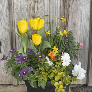 12" Wasson Seasonal Spring Porch Pot