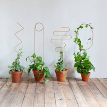 Load image into Gallery viewer, Four golden metal plant stakes in different geometric shapes supporting climbing plants in terracotta pots