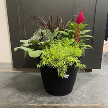 Load image into Gallery viewer, Wasson Seasonal Planter $75.99