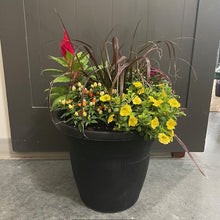 Load image into Gallery viewer, Wasson Seasonal Planter $75.99