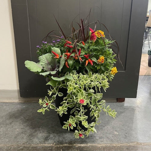 Wasson Seasonal Planter $75.99