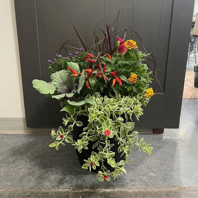 Wasson Seasonal Planter $75.99