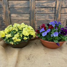 Load image into Gallery viewer, Pansy Bowl