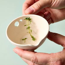 Load image into Gallery viewer, Peel, Grate &amp; Prep Dish