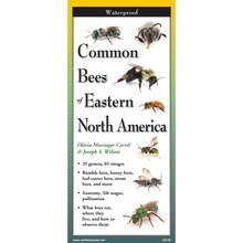 Load image into Gallery viewer, Waterproof field guide book cover showing various bee species from Eastern North America