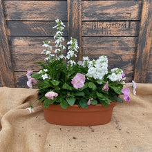 Load image into Gallery viewer, Pansy Bowl