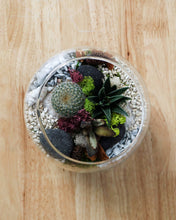 Load image into Gallery viewer, Terrarium Kit : Globe