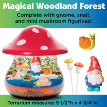 Load image into Gallery viewer, Magical woodland terrarium kit with red mushroom cap, garden gnome, snail and mini mushroom figurines