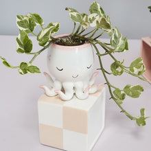 Load image into Gallery viewer, White ceramic octopus planter with pink accents holding variegated trailing plant on checkered base
