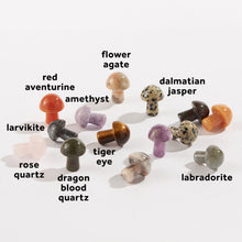 Load image into Gallery viewer, Collection of small mushroom-shaped gemstone figurines in various colors with mineral type labels