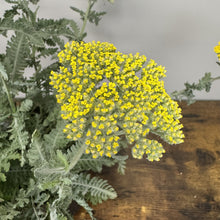 Load image into Gallery viewer, Yarrow Moonshine