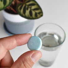 Load image into Gallery viewer, Hand holding small blue speckled fertilizer tablet with houseplant and glass of water in background