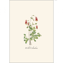 Load image into Gallery viewer, Botanical illustration of Wild Columbine with delicate red drooping flowers and green foliage
