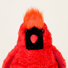 Load image into Gallery viewer, Red plush cardinal stuffed animal with orange crest and black face against white background