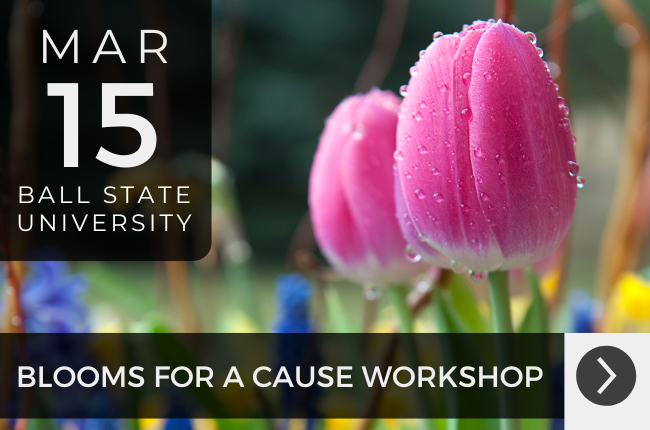 2025 Bloom for a Cause: A Spring Planter Workshop Supporting  DESK (Delivering Education Supplies to Kenya)