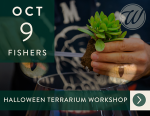 2025 Halloween Terrarium Workshop